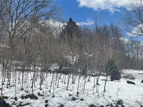 7362 Skadden, Tully, NY 13159 photo 3