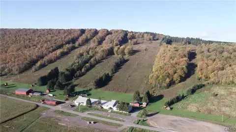 1135 Toggenburg Rd, Fabius, NY 13063