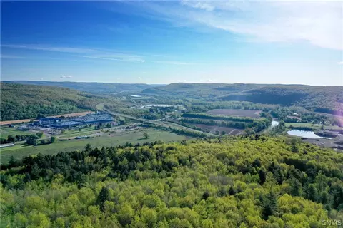 00 Reep Rd, Erwin, NY 14870