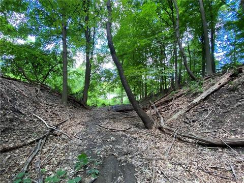219 Whedon Road, Camillus, NY 13031