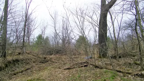 lot Apt 1 Salisbury Rd, Florence, NY 13483