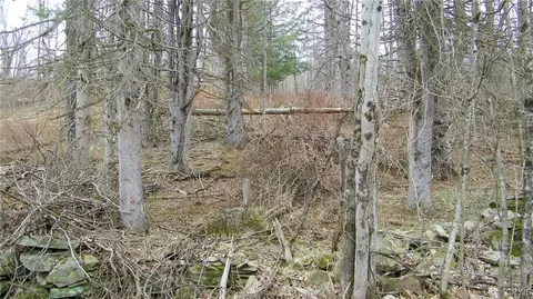 lot Apt 4 Salisbury Rd, Florence, NY 13483