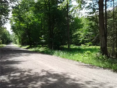 0 Unclemier Rd, Ohio, NY 13324