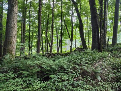 00 Shingle St, German, NY 13040