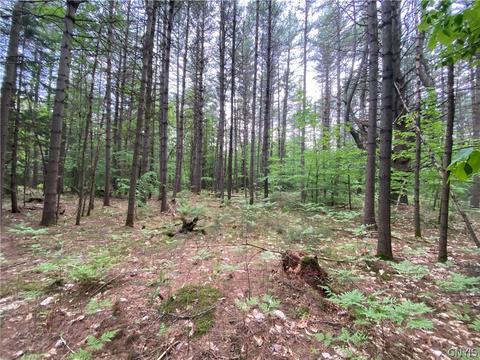 0 Pennysettlement Rd, Lyonsdale, NY 13368