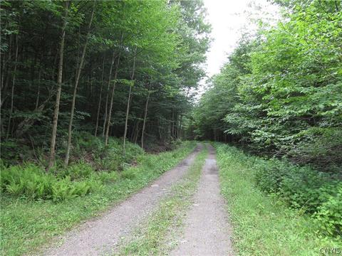621 Lower James Rd, Salisbury, NY 13454