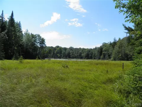 0 Mud Lake Rd, Lewis, NY 12950
