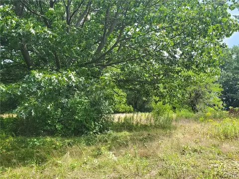 6446 Number Four Rd, Watson, NY 13367