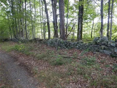 0 County Route 3, Smithville, NY 13830