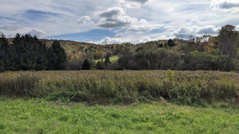 2 Lebanon Rd, Lebanon, NY 13332