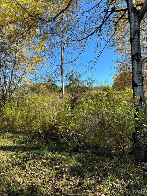 3005 Quarterline Rd, Madison, NY 13402