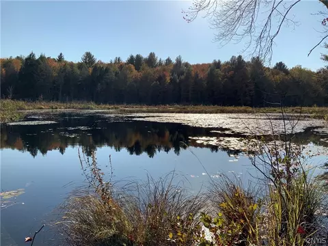 00 Little River Rd, Amboy, NY 13493