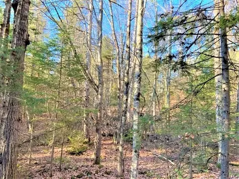 02 County Highway 119, Stratford, NY 13470