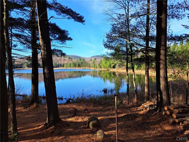 0 Mud Pond Rd, Black Brook, NY 12972