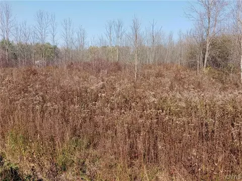 Undisclosed, Hastings, NY 13076