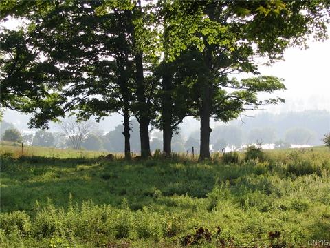 0 Hill Rd, Madison, NY 13346