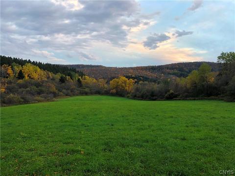 1 S Musician Rd, Lebanon, NY 13332
