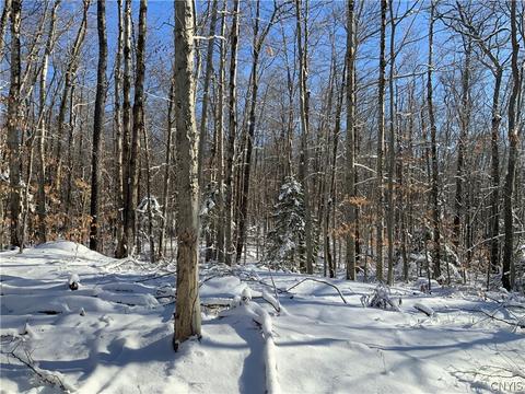 00 Co Rd 119 Rd, Ephratah, NY 13452
