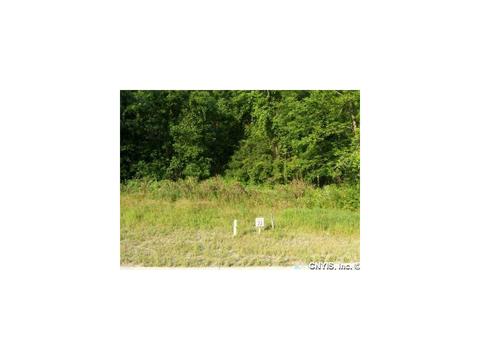 107 Jacob Ln, Sullivan, NY 13037 photo 1