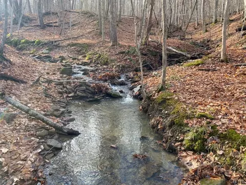 1642 County Road 2, Almond, NY 14804
