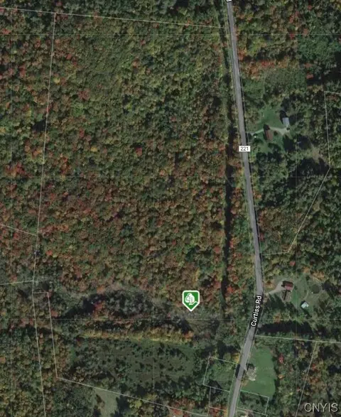 0 Ives Hollow Rd, Salisbury, NY 13365