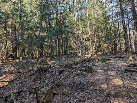 lot32 Pine Ln, Watson, NY 13343 photo 2