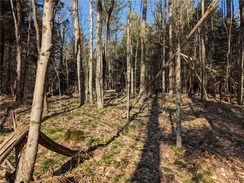 lot32 Pine Ln, Watson, NY 13343 photo 3