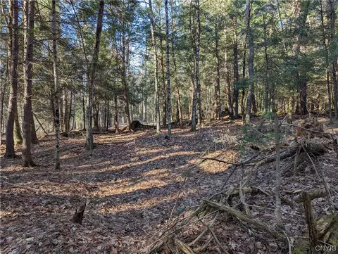 lot32 Pine Ln, Watson, NY 13343