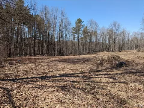 lot1 Domser Rd, Boonville, NY 13309