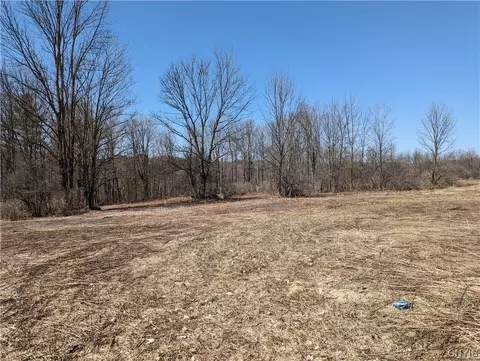 lot3 Domser Rd, Boonville, NY 13309