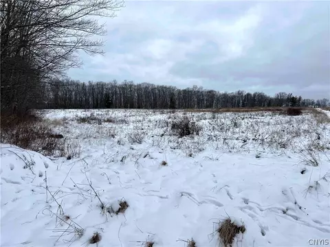 00 Logue Hill Rd, Candor, NY 13743