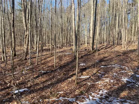00 County Road 49 #C, Rushford, NY 14717