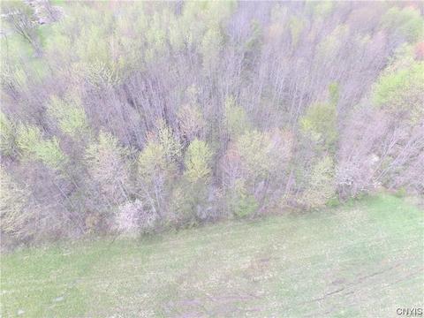 lot19 Oconnor Rd, Scriba, NY 13126 photo 16