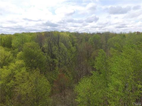 lot19 Oconnor Rd, Scriba, NY 13126 photo 8