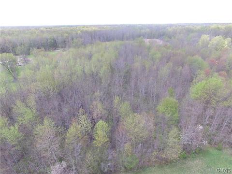 lot19 Oconnor Rd, Scriba, NY 13126 photo 17