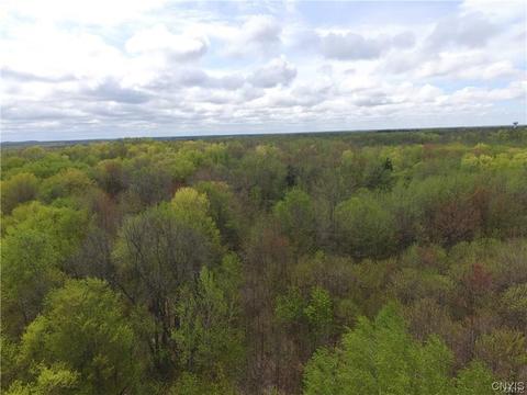 lot19 Oconnor Rd, Scriba, NY 13126 photo 6