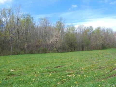 lot19 Oconnor Rd, Scriba, NY 13126 photo 7