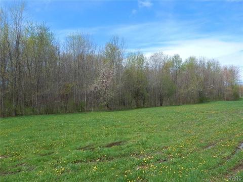 lot19 Oconnor Rd, Scriba, NY 13126 photo 3