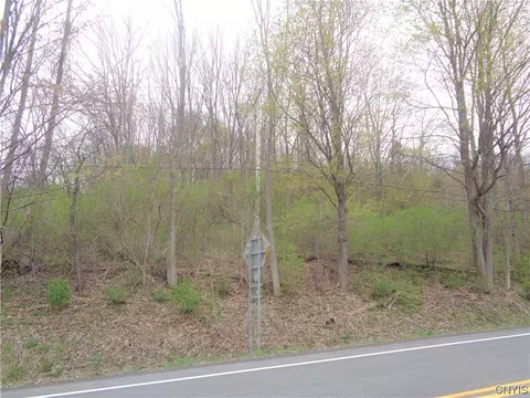 0 Route 215, Cortlandville, NY 13045