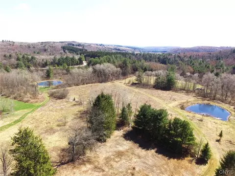 710 Page Brook Rd, Triangle, NY 13862