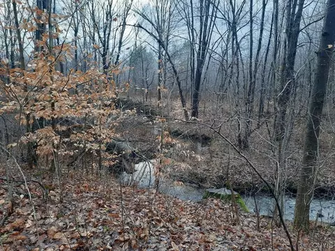 00 Cemetery Rd, Hannibal, NY 13074