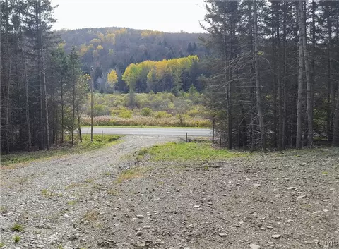 0 S Lebanon Rd, Lebanon, NY 13332