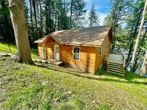 1088 Driftwood Dr, Willet, NY 13863