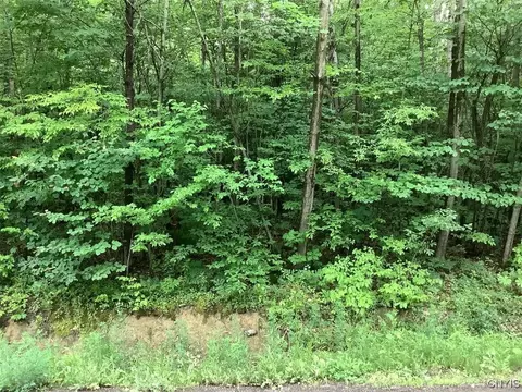 101 Butterfield Rd, Lisle, NY 13835