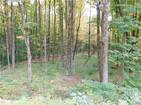 6722 Bankert Rd, Western, NY 13303