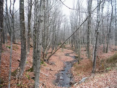 0 Ziegler Rd # x, Lewis, NY 13309