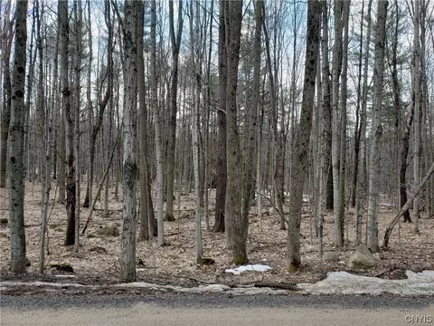 000 Pine Grove Rd, Greig, NY 13343