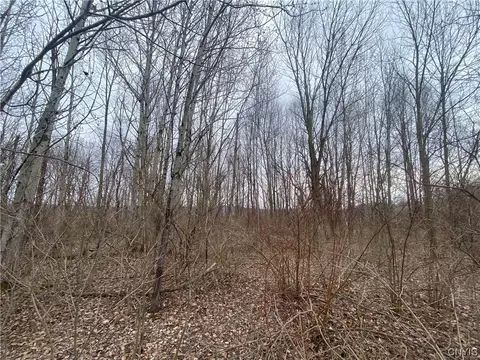 L3 Lake Rd, Tully, NY 13159