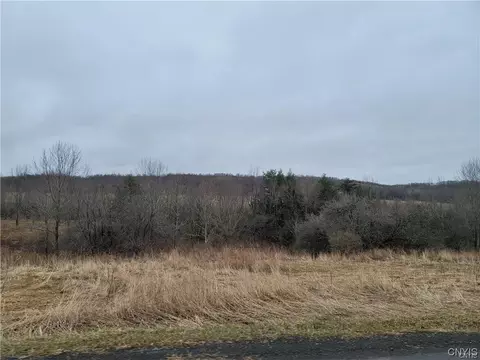 160 Cemetery Rd, Litchfield, NY 13357
