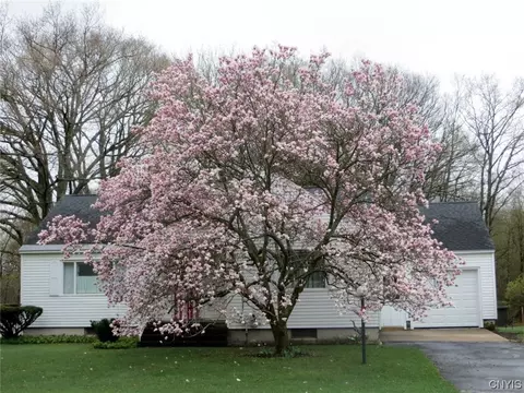 1505 County Route 57, Volney, NY 13069